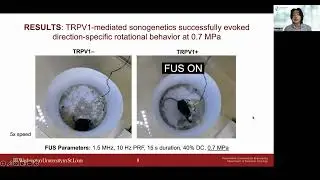 Kevin Xu: Sonogenetics for Locomotor Behavior Modulation in Freely Moving Mice