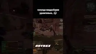 КВАДРОБЕРЫ ДОБРАЛИСЬ ДО ЗОНЫ #stalcraft #сталкрафт #minecraft  #stalcraftx