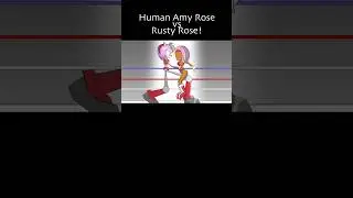 HUMAN AMY ROSE vs RUSTY ROSE!