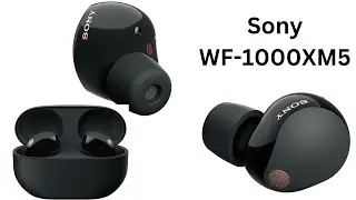 Sony WF 1000XM5