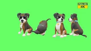 Welcome to 4K Green Screen Delight: 