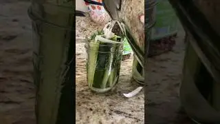 No Chemicals Necessary 🥒 Try This Natural Homemade ￼Pickle Recipe🤙🏾