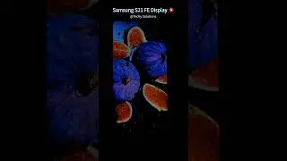 samsung s21 fe display color | resolution  #smartphone #s21fe5g #samsungs21fe5g