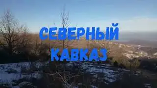 Северный Кавказ Шиповник