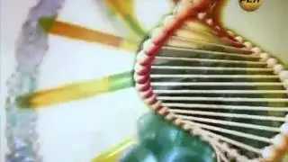 ЭМОЦИИ МЕНЯЮТ НАШУ ДНК