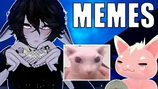 Only The Best Memes | VRchat Interview