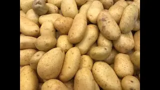 directo el cual si te unes yo te obsequiare una papita