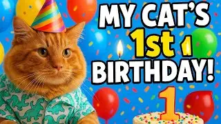 CAT Owners Rejoice Making a Birthday Cake for Your PET is Easier Than You Think