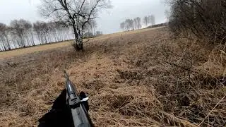 Месть КоЛоБкА,Охота на лису, BENELLI ARGO R1 WOOD 308win (2011года).Дистанция 80м, открытый прицел