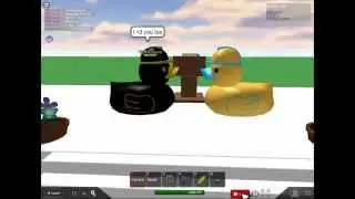 Duck Collab Entry