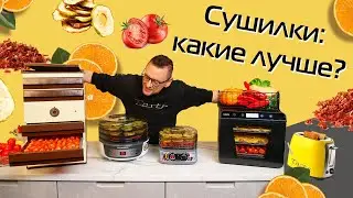 Food dryers: what they are, how to choose + test
