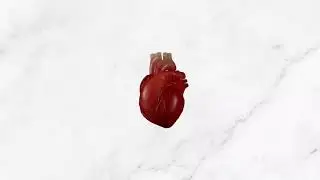BRLLNT - Cash (Feat. Paul Blanco) (VISUALIZER)