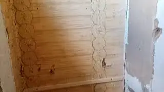Отделка ванной на собачьем хуторе