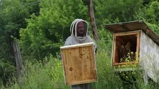 самозаселение