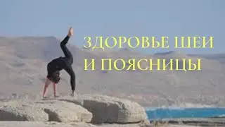 Здоровье спины за 20 минут.ИЗБАВИТЬСЯ ОТ БОЛИ В СПИНЕ.АСАНЫ ДЛЯ ПОЗВОНОЧНИКА. ЙОГА ДЛЯ СПИНЫ