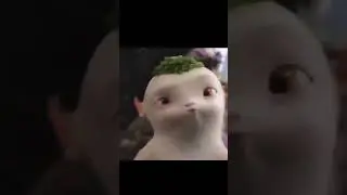 wuba