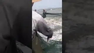 Fishing at sea # Beach fishing # Fisherman fishing # Fishing