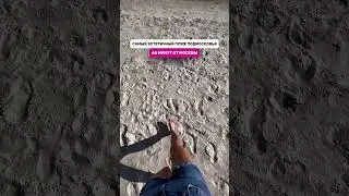 Самый эстетичный пляж Подмосковья😍