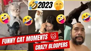 Funny Cat Moments 2023 🐱 | CRAZY BLOOPERS