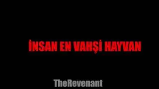 En vahşi hayvan 