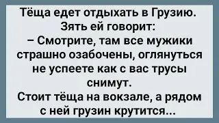 Теща Поехала в Грузию! Сборник Свежих Анекдотов! Юмор!