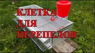 ЛУЧШАЯ ПЕРЕПЕЛИНАЯ КЛЕТКА