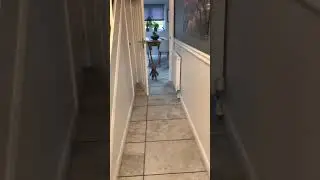 Chucky doll irl!!!!