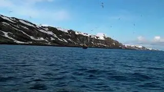 Ура-Губа - полуостров Рыбачий