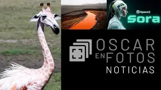 Noticias fotográficas: Edward Burtynsky, OpenAI SORA y los Mobile Photography Awards