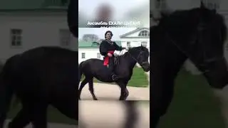 ансамбль Ехали цыгане. #заказартистов #заказатьцыган #ансамбльехалицыгане