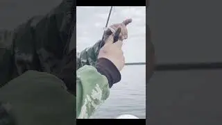 Вот это рыба. Щука агрессор 