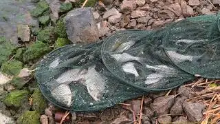 СИЛЬНЫЙ ВЕТЕР НЕ ПОМЕШАЛ НАЛОВИТЬ РЫБЫ МАЙ 2024