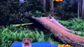 LAS ZOMBY MASCOTAS MARAVILLA.flv