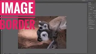 How to add a border around an image in Illustrator