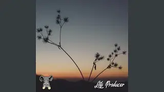 Lofi Producer