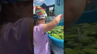 Мою огурчики #ЯжеВика