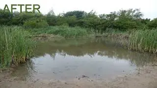 Joe Save's The Fish Pond