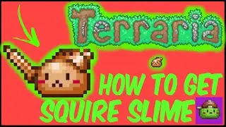 How To Get Squire Slime In Terraria | Terraria 1.4.4.9