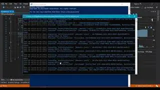 Run/Debug Durable Function