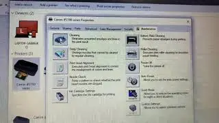 Cara cleaning printer