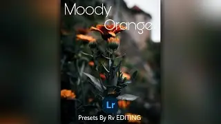 Moody Orange color Presets DNG Free Download - Lightroom Mobile Tutorial . 'RV EDITING'
