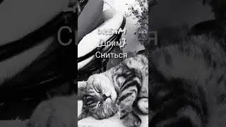 #учиманглийскиеслова #learnenglish #reelsenglish #shorts #short