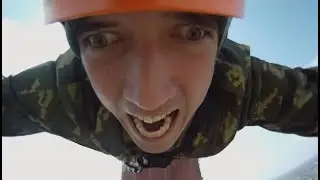 Переполох. Весь мир говорит про это видео!