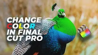 How to Change Color in Final Cut Pro