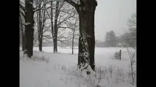 Фрагмент клипа 