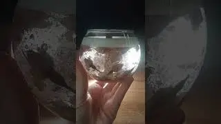 Свеча с гелем 2