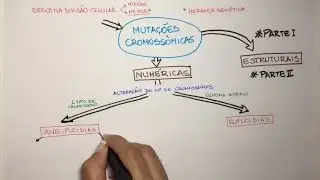 Mutações Cromossômicas #Parte 1