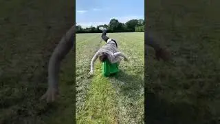 VFX editing 