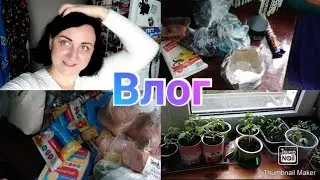 Испортила волосы / Рассада растёт / Покупки в Пятёрочке, Фикс Прайсе и Магните / Влог
