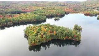 Nature Stock Video 2 | FREE STOCK VİDEO 4K | NO COPYRİGHT VİDEO | 2021